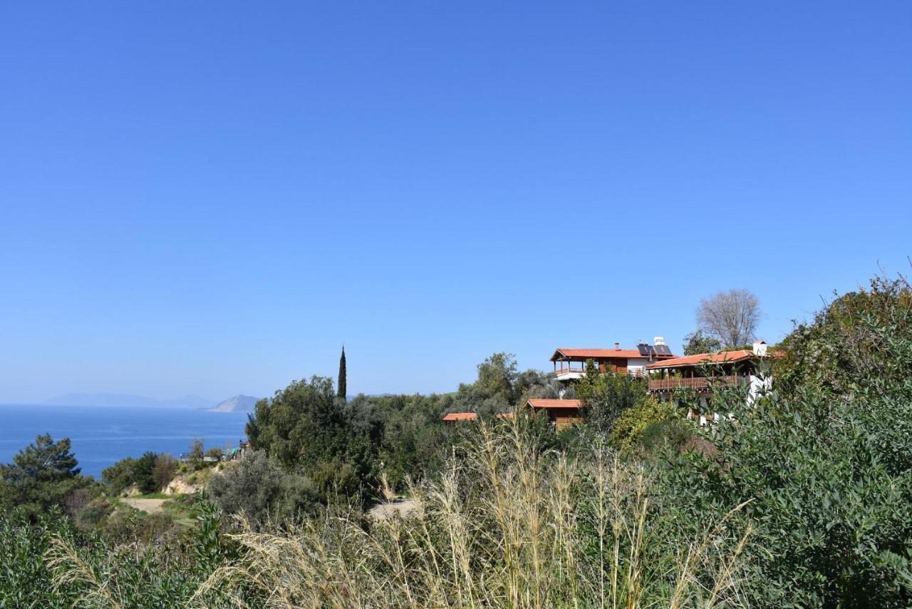Casa Roja Apartment Cedit Bagian luar foto