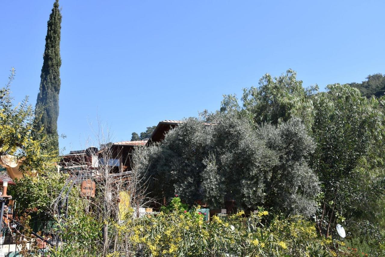 Casa Roja Apartment Cedit Bagian luar foto