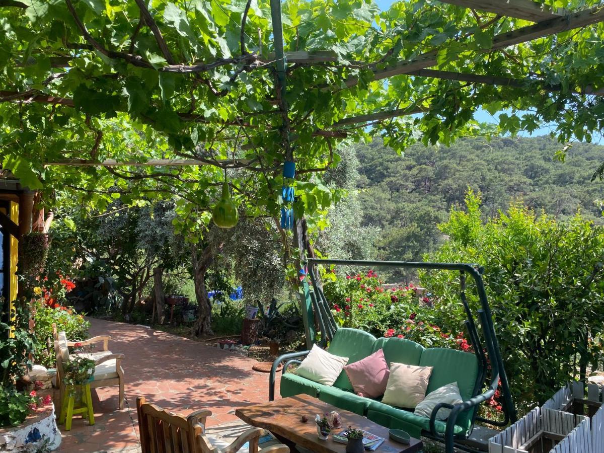 Casa Roja Apartment Cedit Bagian luar foto