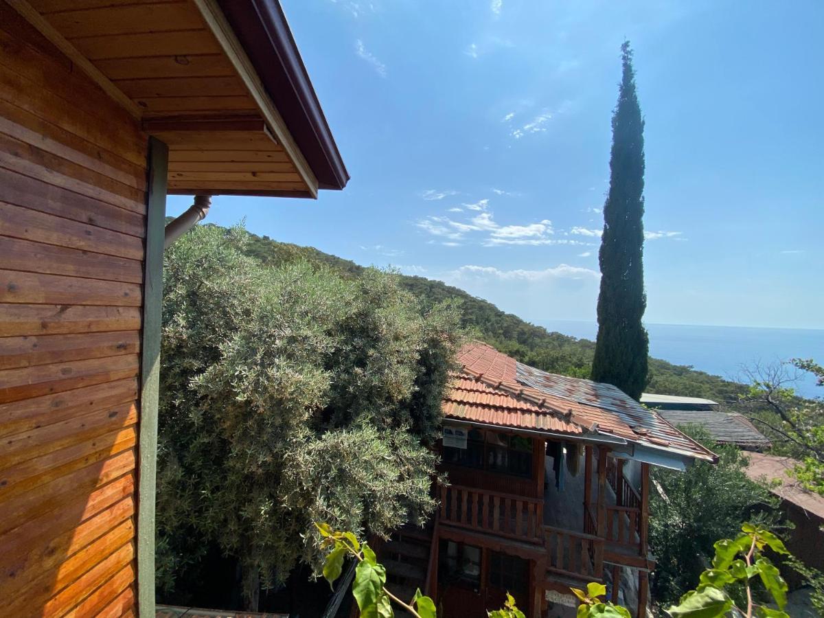 Casa Roja Apartment Cedit Bagian luar foto