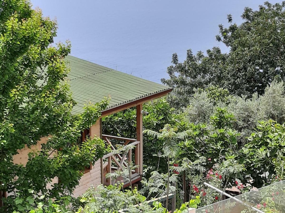 Casa Roja Apartment Cedit Bagian luar foto
